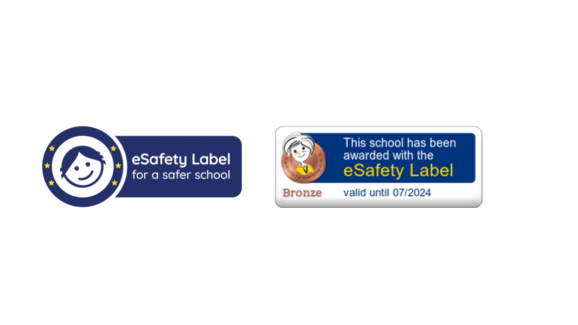 e-Güvenlik Etiketi(e-Safety Label)
